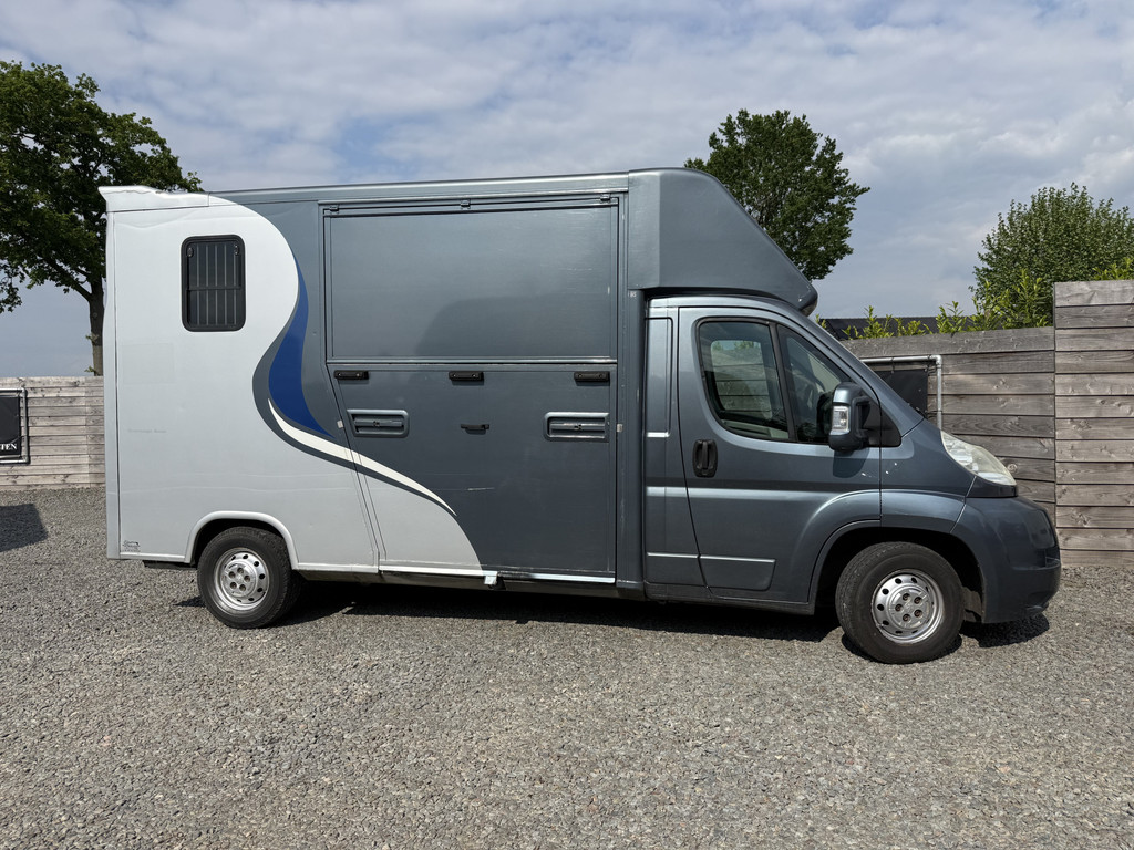 Peugeot Boxer | HORSETRUCK | GUILLAUME | PRO SAFETY 3XL