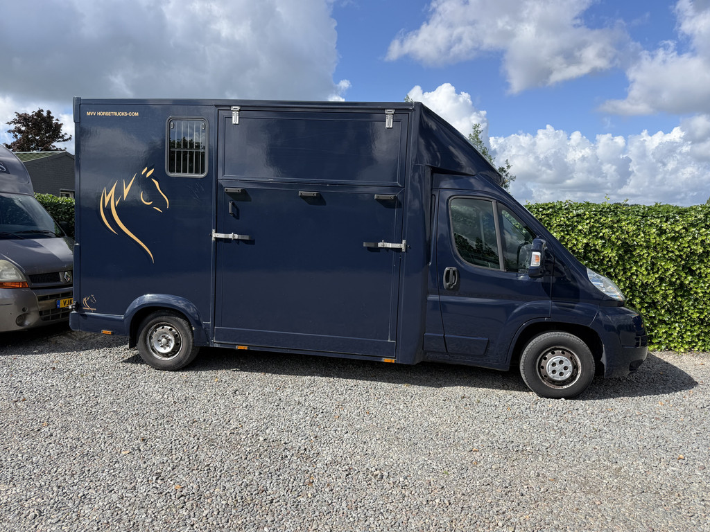 Peugeot Boxer | HORSETRUCK | TVW | CLASSIC 3XL