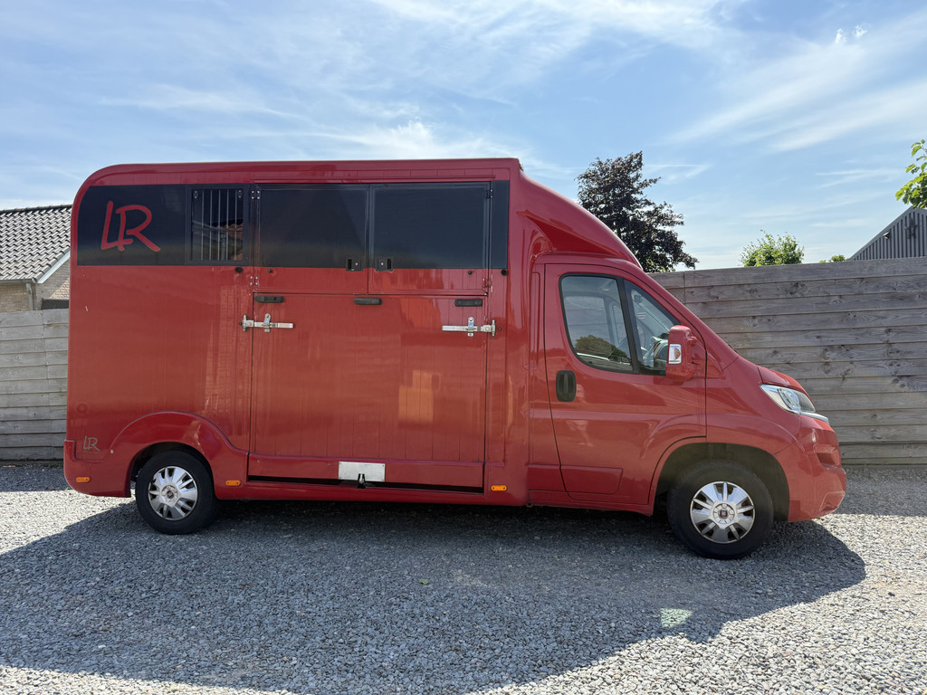 Fiat Ducato | HORSETRUCK | LR | STALLION 3XL