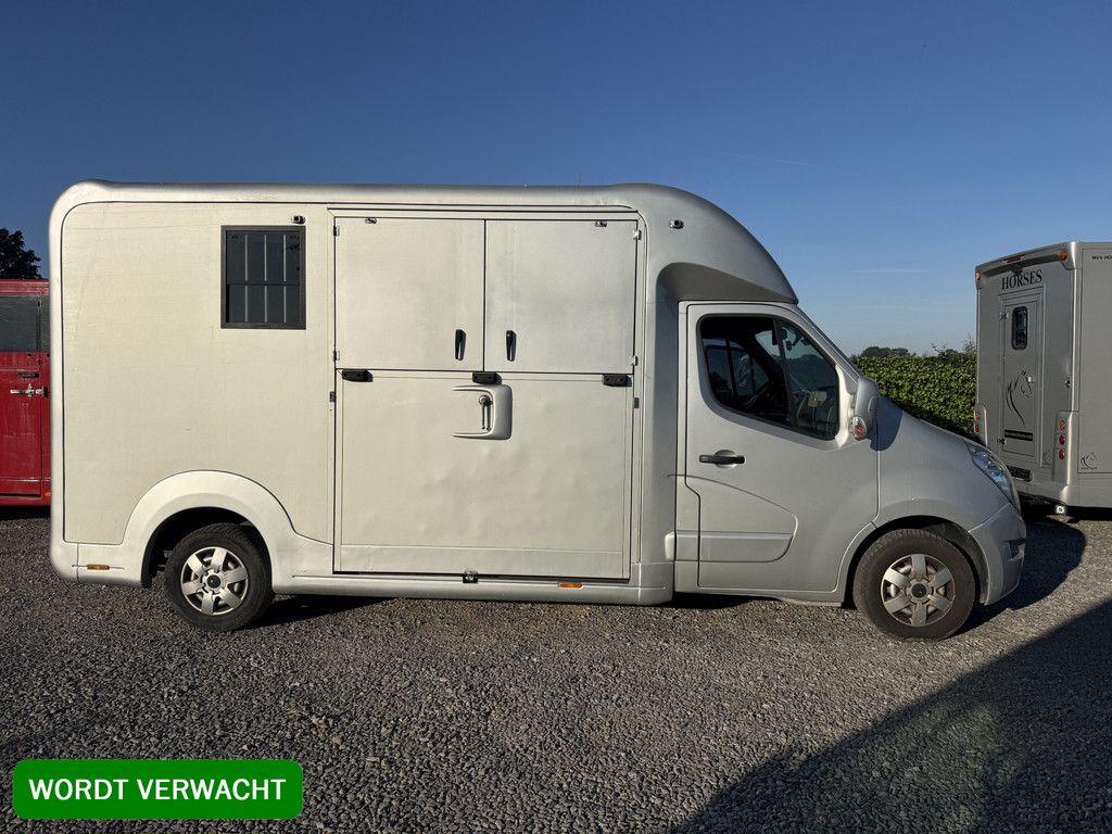 Renault Master | HORSETRUCK | STX | STALLION 3XL