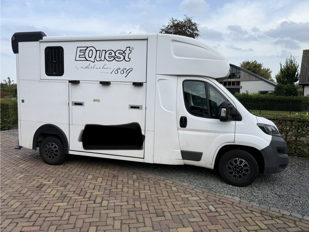Peugeot Boxer | HORSETRUCK | MSG | COMPETITION 3XL