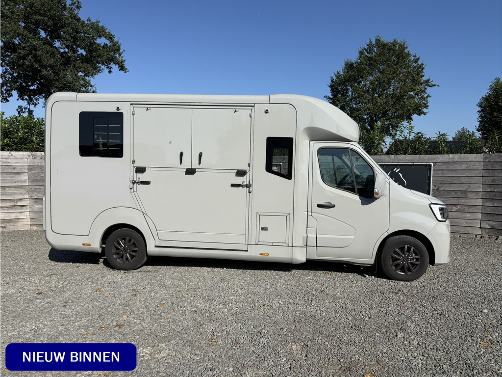 Renault Master | HORSETRUCK | STX | HENGST 5XL