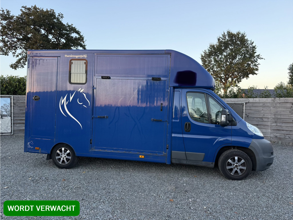 Fiat Ducato | HORSETRUCK | MVV | ALU | COMPETITION 3XL