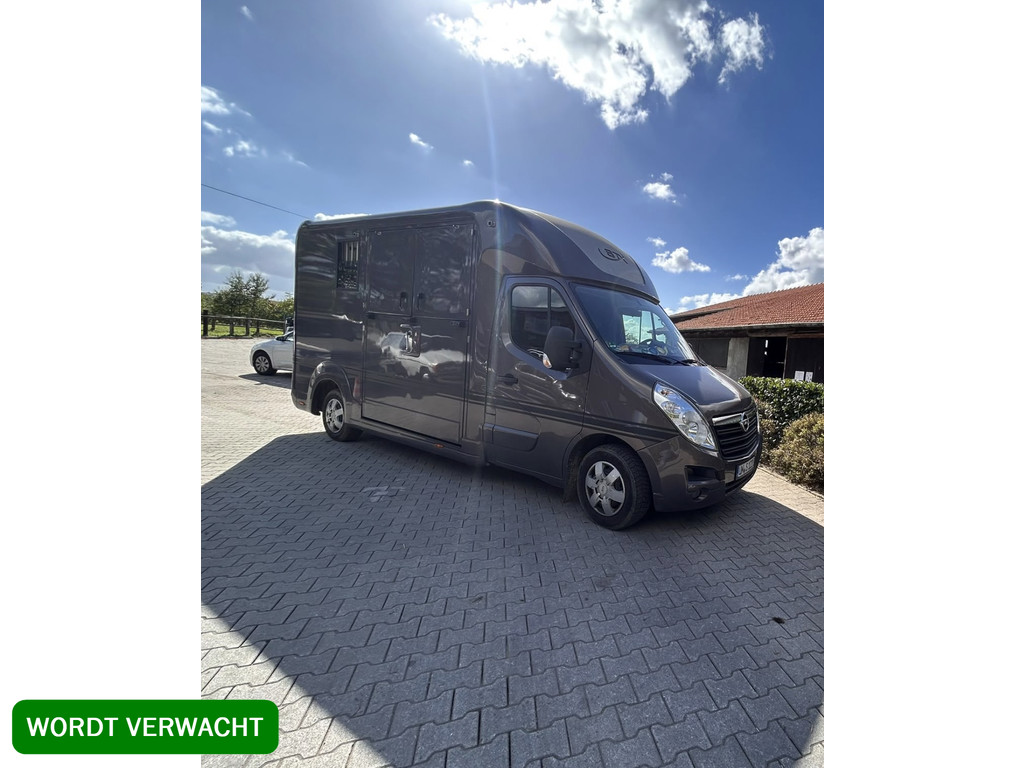 Opel Movano | HORSETRUCK | STX | STALLION 3XL