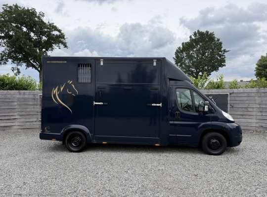 RENAULT MASTER PAARDENWAGEN&nbsp;

HENGSTENUITVOERING
