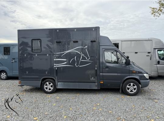 MERCEDES NUYTS 2XL
