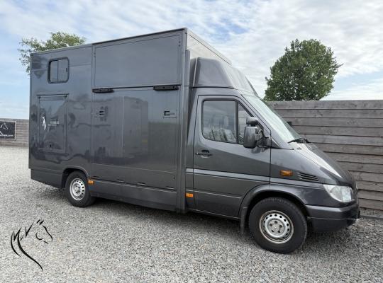 MERCEDES 3XL
