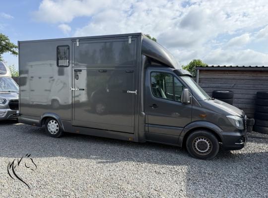 MERCEDES TVW 3XXL
