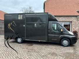 FIAT DUCATO 3.0L STALLION 3
