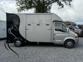 RENAULT MTM LOOK STALLION 3XL
