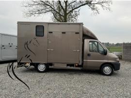 PEUGEOT JWR CLASSIC 2XL
