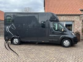 PEUGEOT 3.0L THEAULT CLASSIC 5
