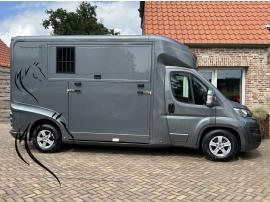 FIAT DUCATO 2.3L STALLION 3

