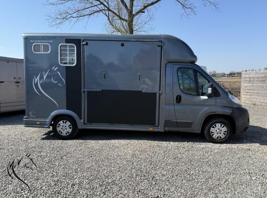 PEUGEOT EQUI-TREK 3XL
